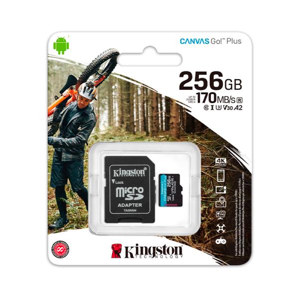 SDCG3/256GB
