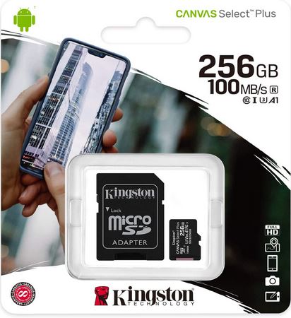 memoria micro SD 256gb