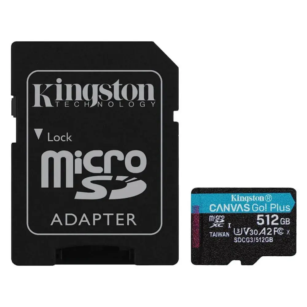 Kingston Canvas Go
